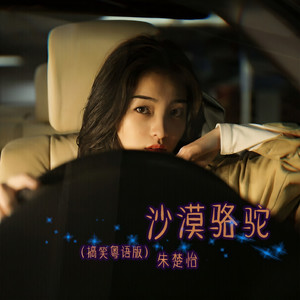 沙漠骆驼 (Single Version)