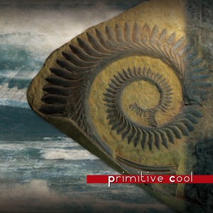 primitive cool