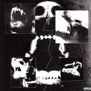 wipehisnose (feat. Kashmiir) (Explicit)