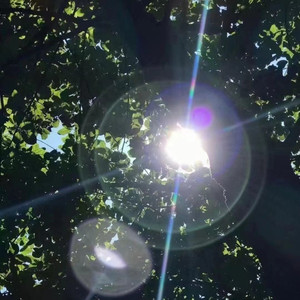 星晴 + 回到过去 + 最后的战役 + 爱我别走-柚柠