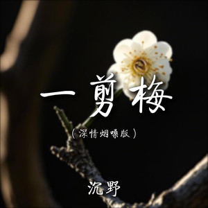 一剪梅 (深情烟嗓版)
