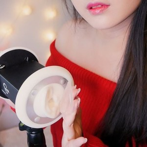 胖达 - 小麦克风防风罩摩擦音#1