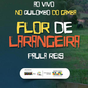 Flor de laranjeira