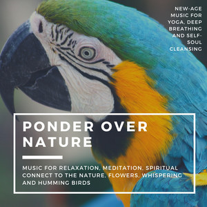 Ponder Over Nature (Music For Relaxation, Meditation, Spiritual Connect To The Nature, Flowers, Whispering And Humming Birds) (New-Age Music For Yoga, Deep Breathing And Self-Soul Cleansing)