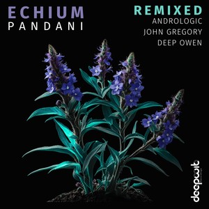 Incana (Andrologic Remix)