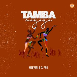 Tamba Mayaya (feat. Mseveni) (Explicit)