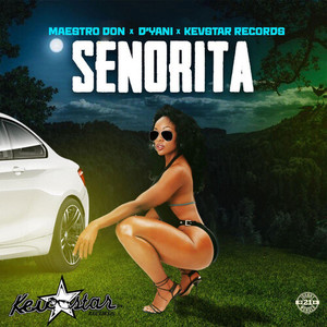 Señorita (Explicit)