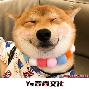 里小鹿已累
