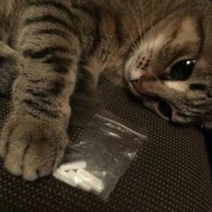 #bxxtyshakin mixx (feat. flexy) (Explicit)