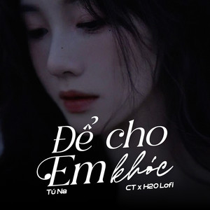 Để Cho Em Khóc (Lofi)