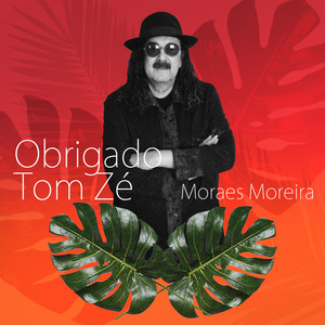 Obrigado Tom Zé