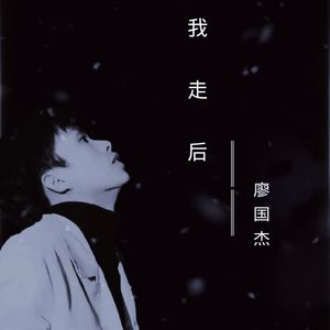 我走后