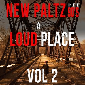 New Paltz in the 90's: A Loud Place, Vol. 2 (Explicit)