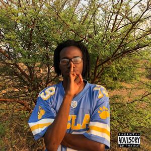 TOLD YOU (feat. Trexcx$) (Explicit)