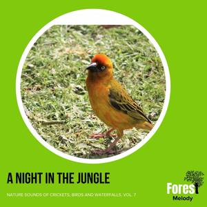 Impressive Rattling of the Rattlesnake