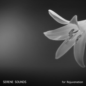 18 Serene Sounds for Rejuvenation