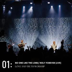 No One Like The Lord / Holy Forever (LIVE) (feat. Joey Smith) [Live]