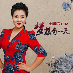梦想有一天封面