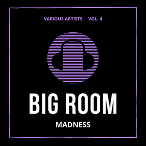 Big Room Madness, Vol. 4