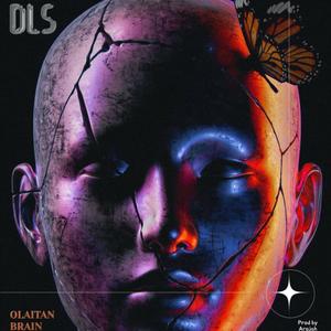Dls (Different Lifestyle)