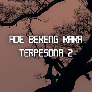 ADE BEKENG KAKA TERPESONA 2