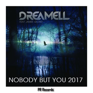 Nobody But You 2017 (Sebastian Voght Remix)