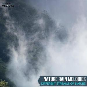 Nature Rain Melodies - Different Streams of Nature