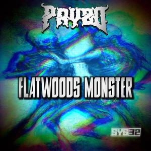 FLATWOODS MONSTER