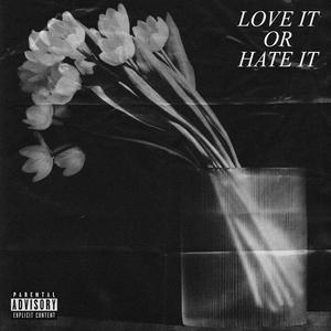 Love it Or Hate it (Explicit)