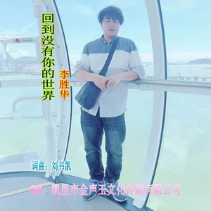 回到没有你的世界