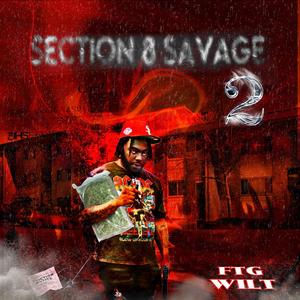 Section 8 Savage 2 (Explicit)