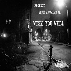 Wish You Well (Explicit)