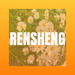 人生若只如初见 (Remix)
