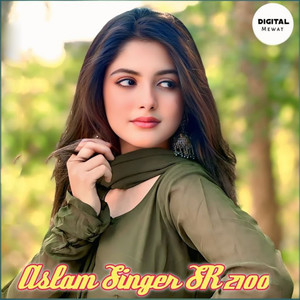 Aslam Singer SR 2100