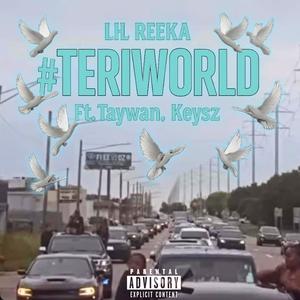 Teri World (feat. Taywan & Keysz) (Explicit)