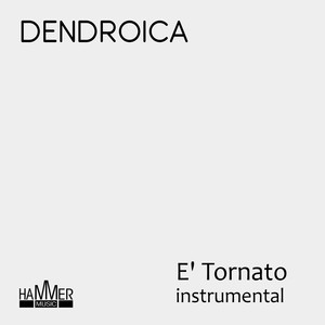 E' Tornato (Instrumental)