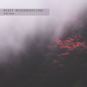 Misty Reverberations