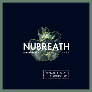 Bitrate & PL-81 - So Much Chorus (Original Mix|Explicit)