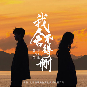 黄子芮 - 我舍不得删