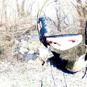 APILEPIC ALLIANCE (Explicit)