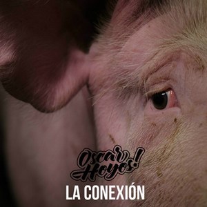 La conexión