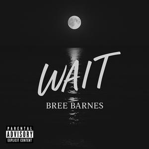Wait (Explicit)