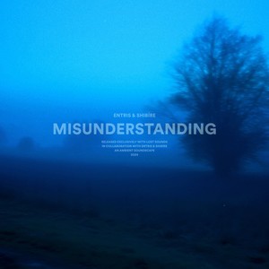 misunderstanding