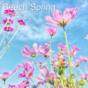 Beech Spring (Instrumental Version)