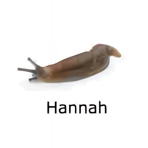 Hannah's Lullaby