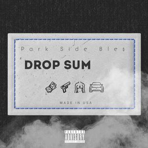 Drop Sum (feat. Gunna2k) [Explicit]