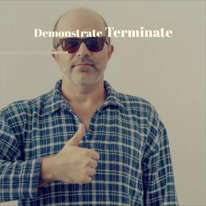 Demonstrate Terminate