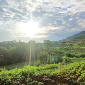 我喜欢上你时的内心活动