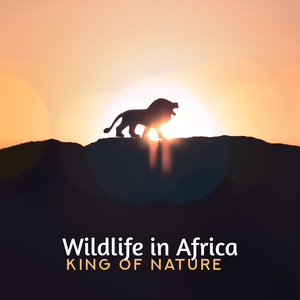 Wildlife in Africa: King of Nature - Safari, Lion & Birds Sounds