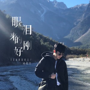 眼泪来的刚好 (伴奏)封面